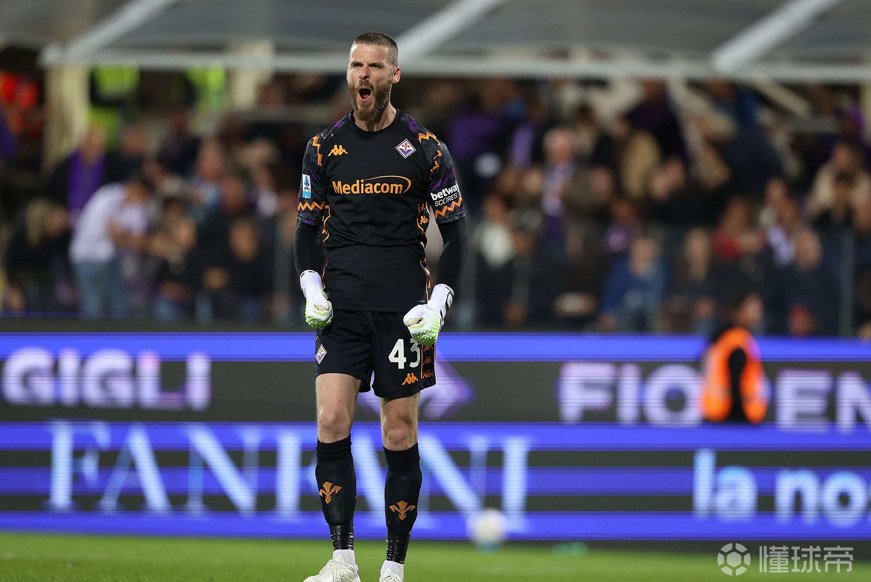 佛罗伦萨门将突发伤病，球队面临严峻考验的简单介绍